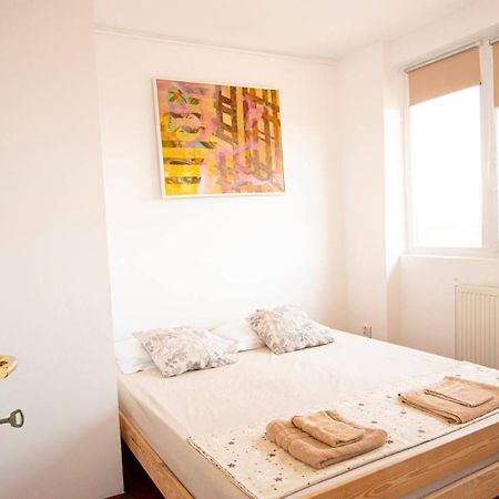 Piata Victoriei- 1 Room Apartment ティミショアラ エクステリア 写真