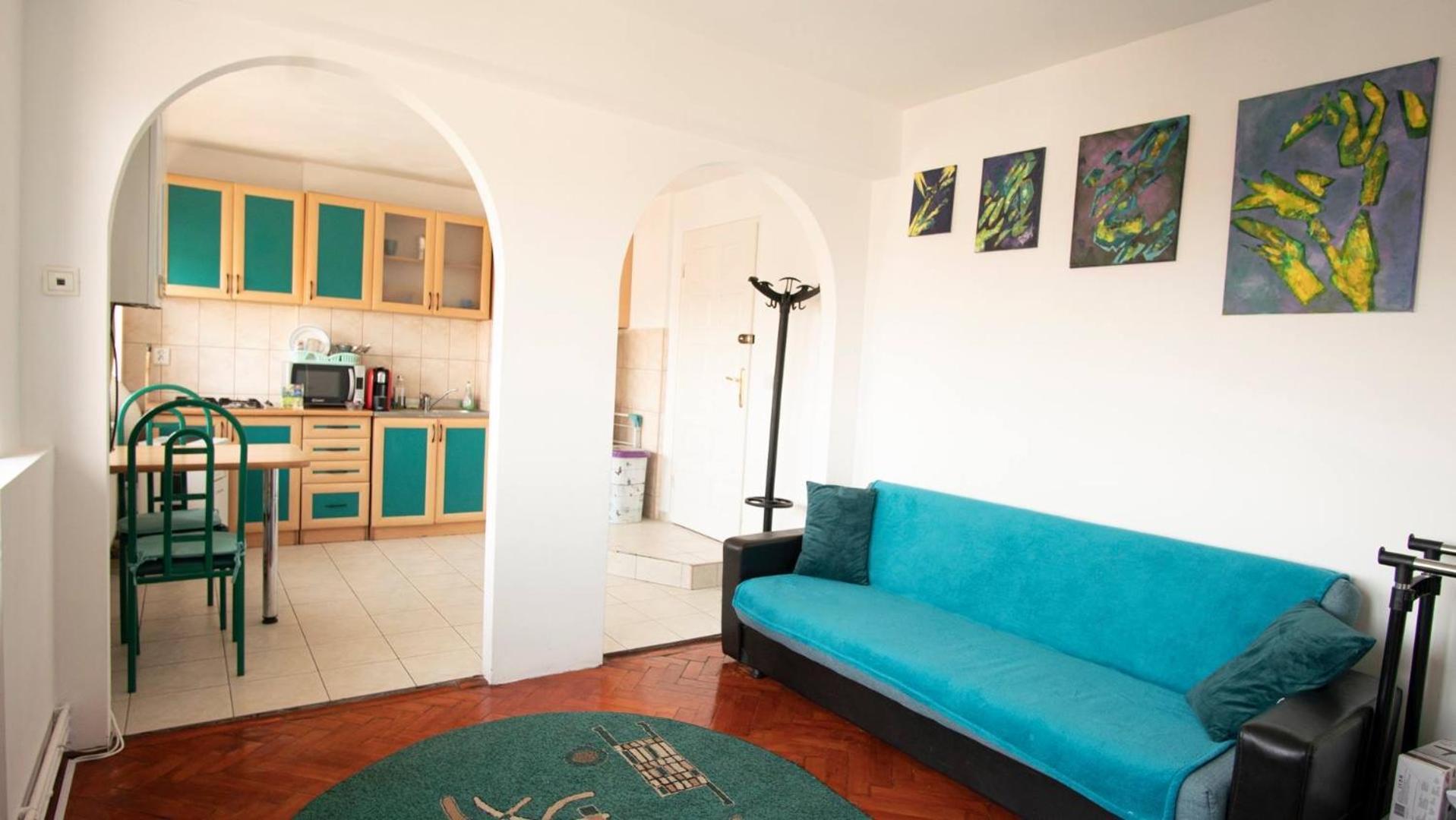 Piata Victoriei- 1 Room Apartment ティミショアラ エクステリア 写真