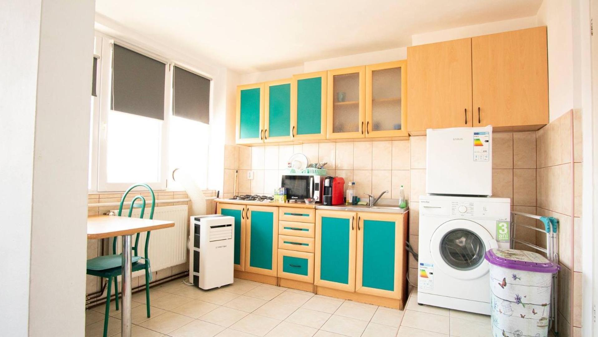 Piata Victoriei- 1 Room Apartment ティミショアラ エクステリア 写真